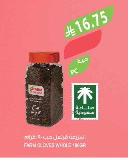Cloves available at Farm  in KSA, Saudi Arabia, Saudi - Tabuk