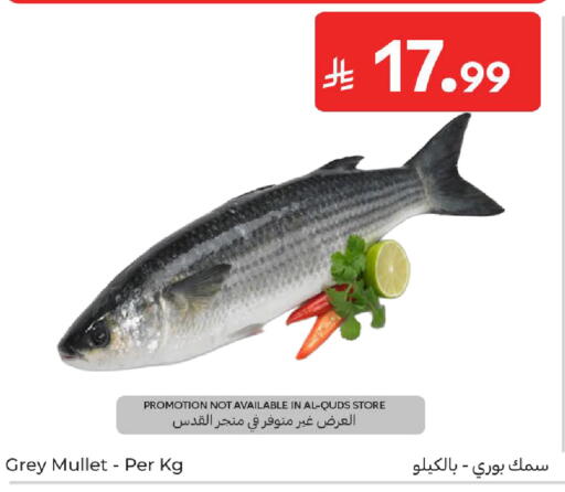 available at كارفور in مملكة العربية السعودية, السعودية, سعودية - جدة
