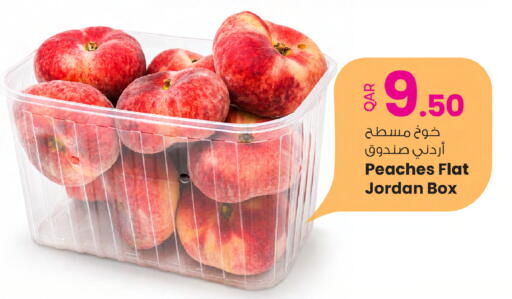 from Jordan available at أنصار جاليري in قطر - الضعاين