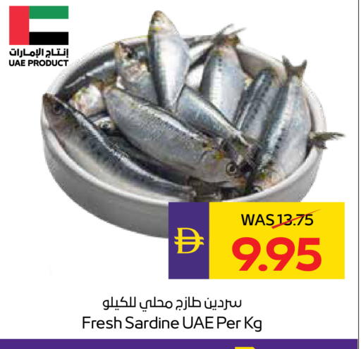 available at أدكووب in الإمارات العربية المتحدة , الامارات - أبو ظبي
