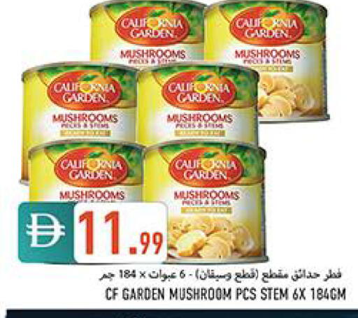 Mushroom available at  روابي ماركت عجمان in الإمارات العربية المتحدة , الامارات - الشارقة / عجمان