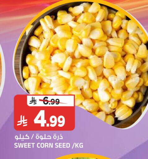 available at المدينة هايبرماركت in مملكة العربية السعودية, السعودية, سعودية - الرياض