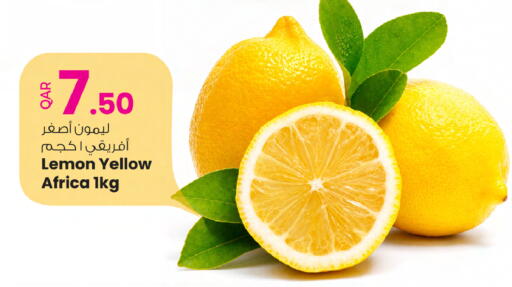 Lemon available at أنصار جاليري in قطر - الضعاين