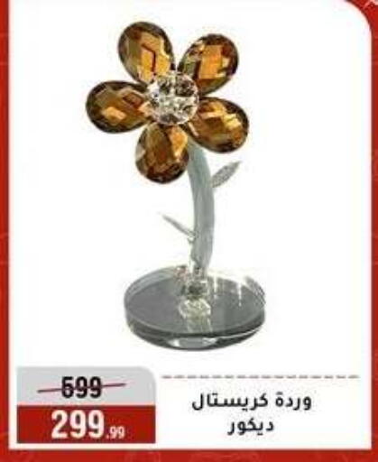 available at Al Morshedy  in Egypt - Cairo