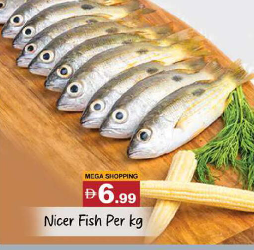 available at Gulf Hypermarket LLC in UAE - Ras al Khaimah