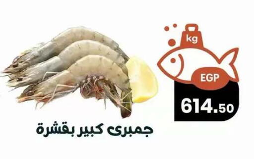 available at Arafa  in Egypt - Cairo