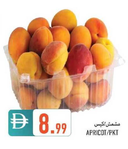 Apricot available at  روابي ماركت عجمان in الإمارات العربية المتحدة , الامارات - الشارقة / عجمان