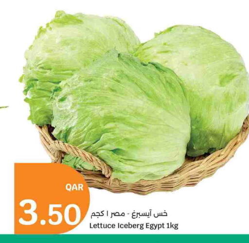 Lettuce from Egypt available at سيتي هايبرماركت in قطر - الضعاين