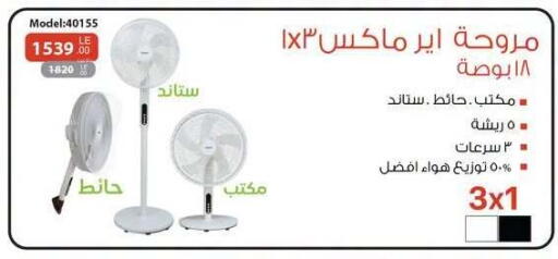 available at Raneen in Egypt - Cairo