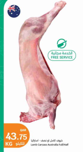 available at سيتي هايبرماركت in قطر - الضعاين