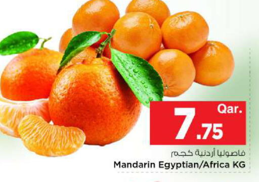 Mandarin from Egypt available at Mark & Save  in Qatar - Al-Shahaniya