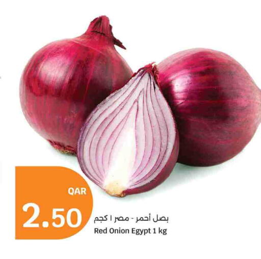 Onion from Egypt available at سيتي هايبرماركت in قطر - الشحانية