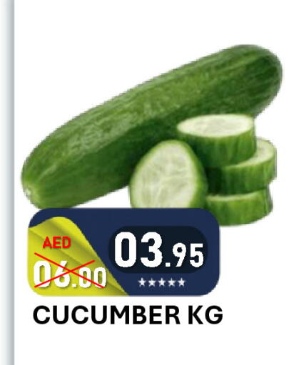 Cucumber available at ROYAL GULF HYPERMARKET LLC in UAE - Abu Dhabi