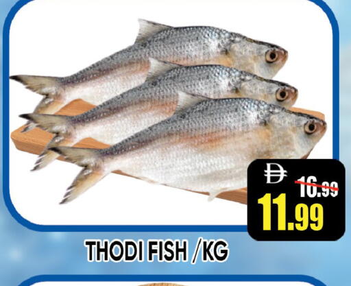 available at Leptis Hypermarket  in UAE - Ras al Khaimah