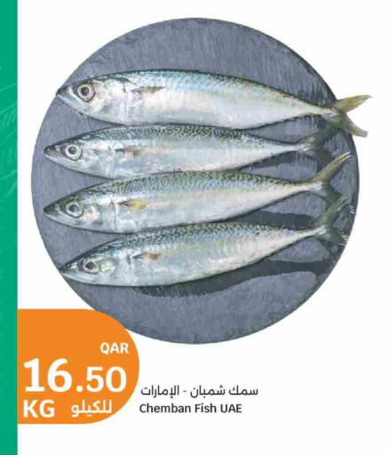 available at سيتي هايبرماركت in قطر - الدوحة