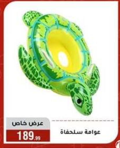 available at المرشدي in Egypt - القاهرة
