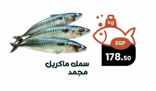 available at Arafa  in Egypt - Cairo