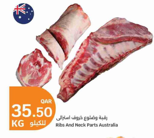 available at سيتي هايبرماركت in قطر - الضعاين