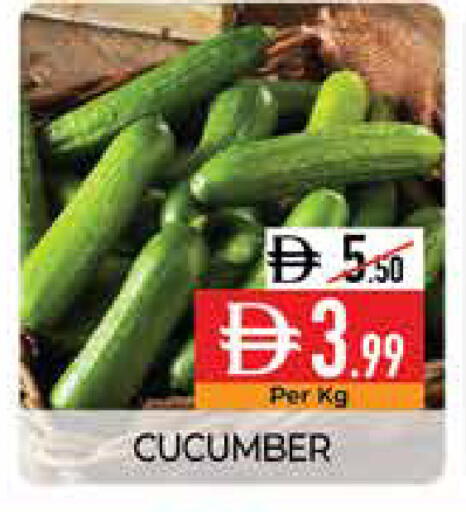 Cucumber available at ديلايس سوبرماركت in الإمارات العربية المتحدة , الامارات - أبو ظبي