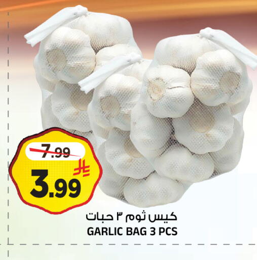 Garlic available at المدينة هايبرماركت in مملكة العربية السعودية, السعودية, سعودية - الرياض