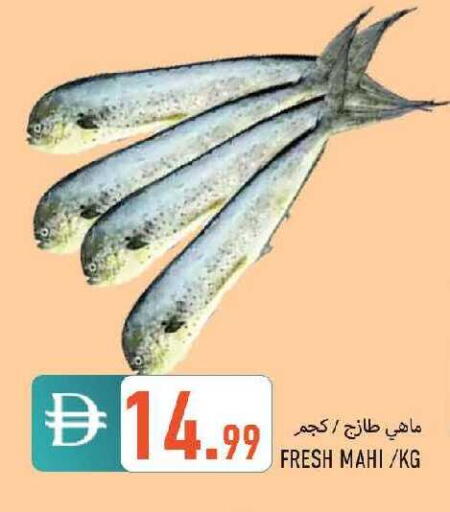 available at  روابي ماركت عجمان in الإمارات العربية المتحدة , الامارات - الشارقة / عجمان