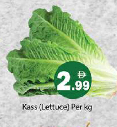 Lettuce available at Gulf Hypermarket LLC in UAE - Ras al Khaimah