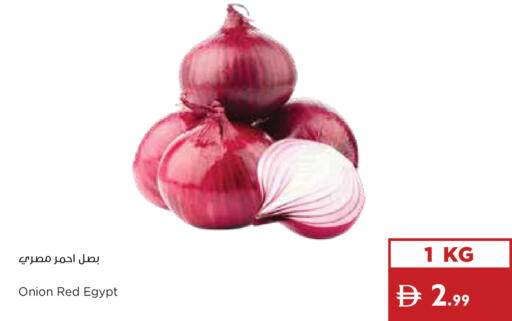 Onion from Egypt available at Istanbul Supermarket in UAE - Dubai