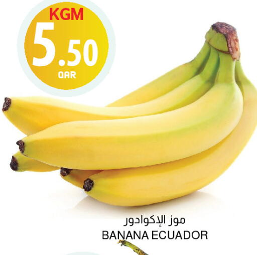 Banana from Ecuador available at أسواق الملكي فرش in قطر - الوكرة