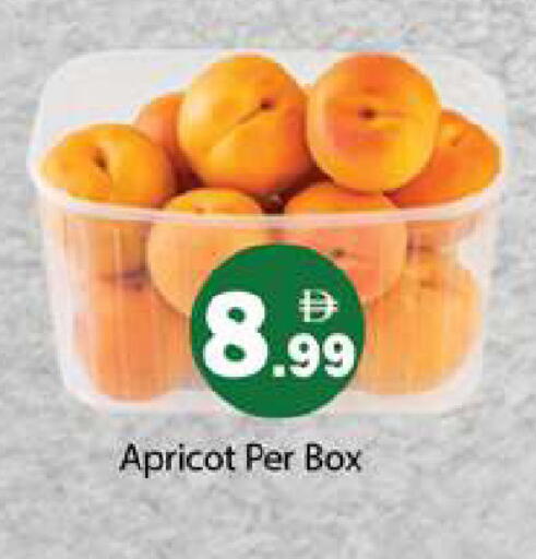 Apricot available at Gulf Hypermarket LLC in UAE - Ras al Khaimah
