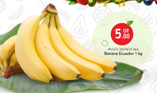 Banana from Ecuador available at سفاري هايبر ماركت in قطر - الوكرة