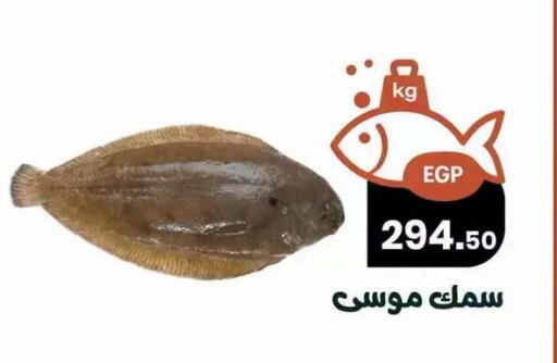 available at Arafa  in Egypt - Cairo