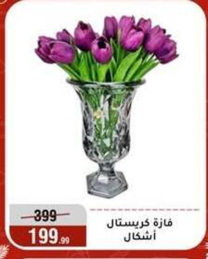 available at Al Morshedy  in Egypt - Cairo