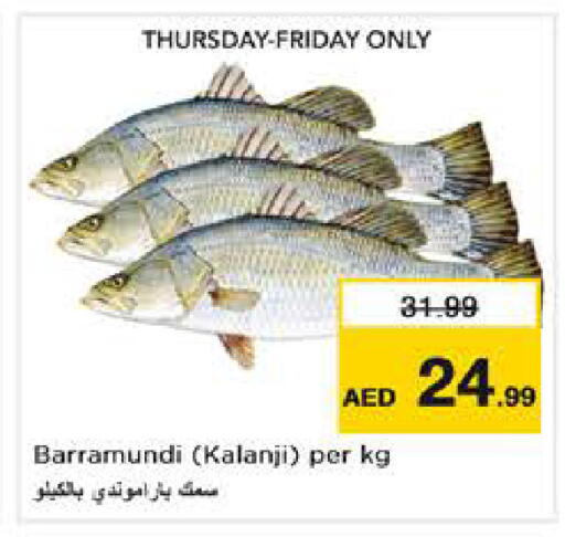 available at نستو هايبرماركت in الإمارات العربية المتحدة , الامارات - أبو ظبي