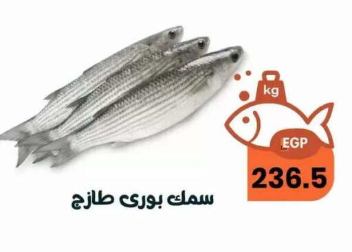 available at Arafa  in Egypt - Cairo