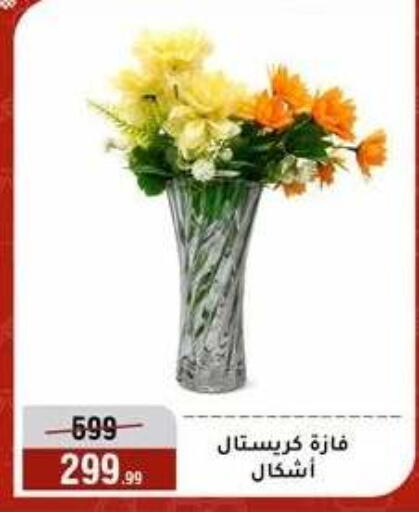 available at Al Morshedy  in Egypt - Cairo