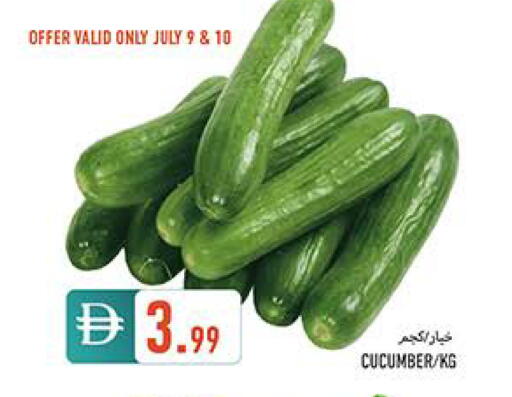 Cucumber available at  روابي ماركت عجمان in الإمارات العربية المتحدة , الامارات - الشارقة / عجمان