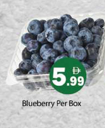 Blueberry BlueBerry available at Gulf Hypermarket LLC in UAE - Ras al Khaimah