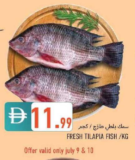 available at  روابي ماركت عجمان in الإمارات العربية المتحدة , الامارات - الشارقة / عجمان