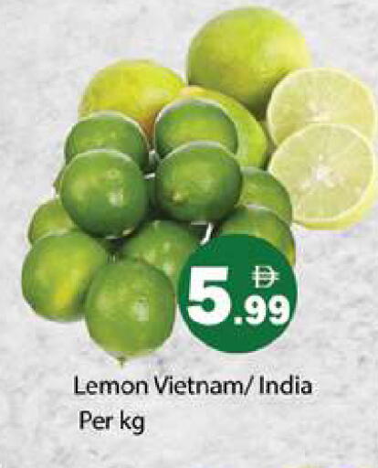 Lemon from Vietnam India available at Gulf Hypermarket LLC in UAE - Ras al Khaimah