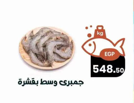 available at Arafa  in Egypt - Cairo