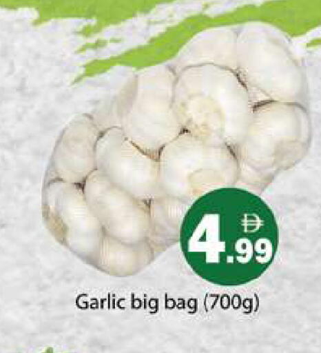 Garlic available at Gulf Hypermarket LLC in UAE - Ras al Khaimah