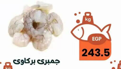 available at Arafa  in Egypt - Cairo