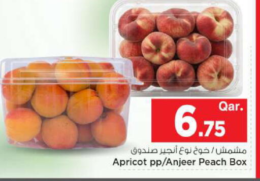 Apricot Peach available at مارك & سيف in قطر - الوكرة