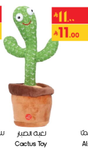 available at City Flower in KSA, Saudi Arabia, Saudi - Riyadh