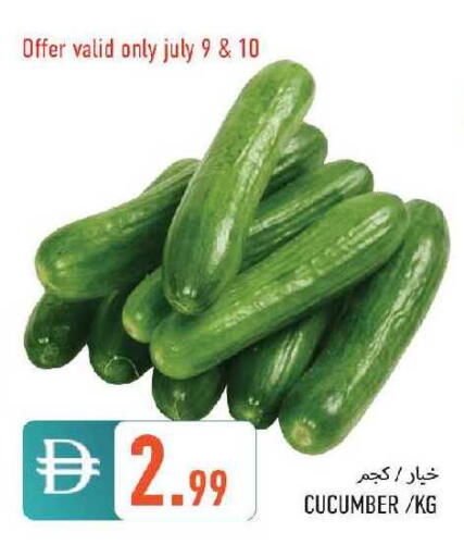 Cucumber available at  روابي ماركت عجمان in الإمارات العربية المتحدة , الامارات - الشارقة / عجمان