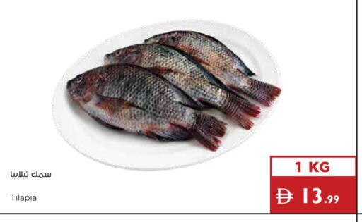 available at Istanbul Supermarket in UAE - Dubai