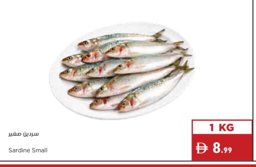 available at Istanbul Supermarket in UAE - Dubai