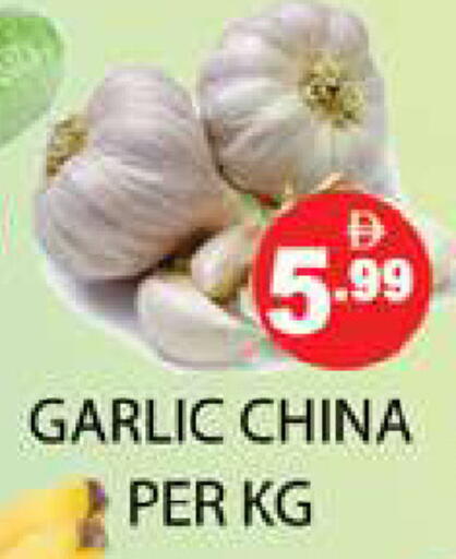 Garlic from China available at Zain Mart Supermarket in UAE - Ras al Khaimah
