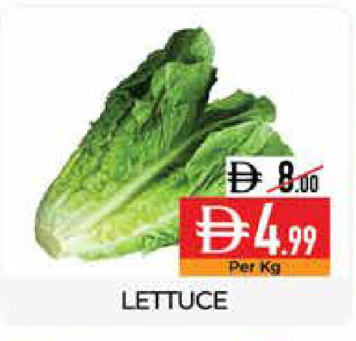 Lettuce available at ديلايس سوبرماركت in الإمارات العربية المتحدة , الامارات - أبو ظبي