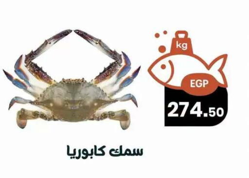 available at Arafa  in Egypt - Cairo